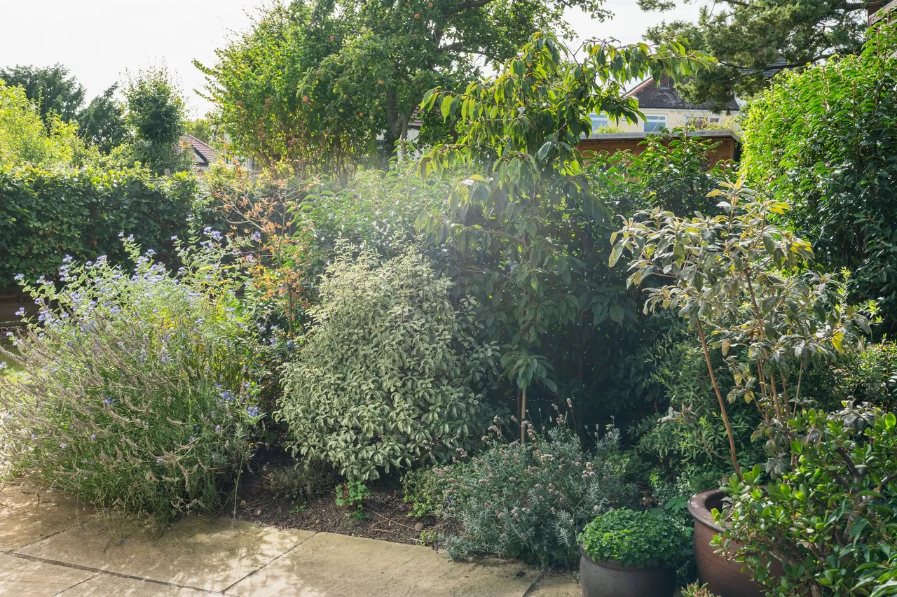 Springfield Road, Sheffield, S7, photo 42