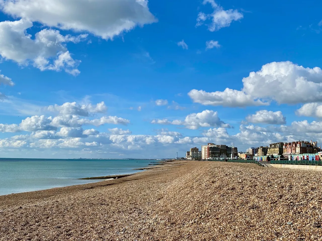 Palmeira Avenue, Hove, BN3, photo 25