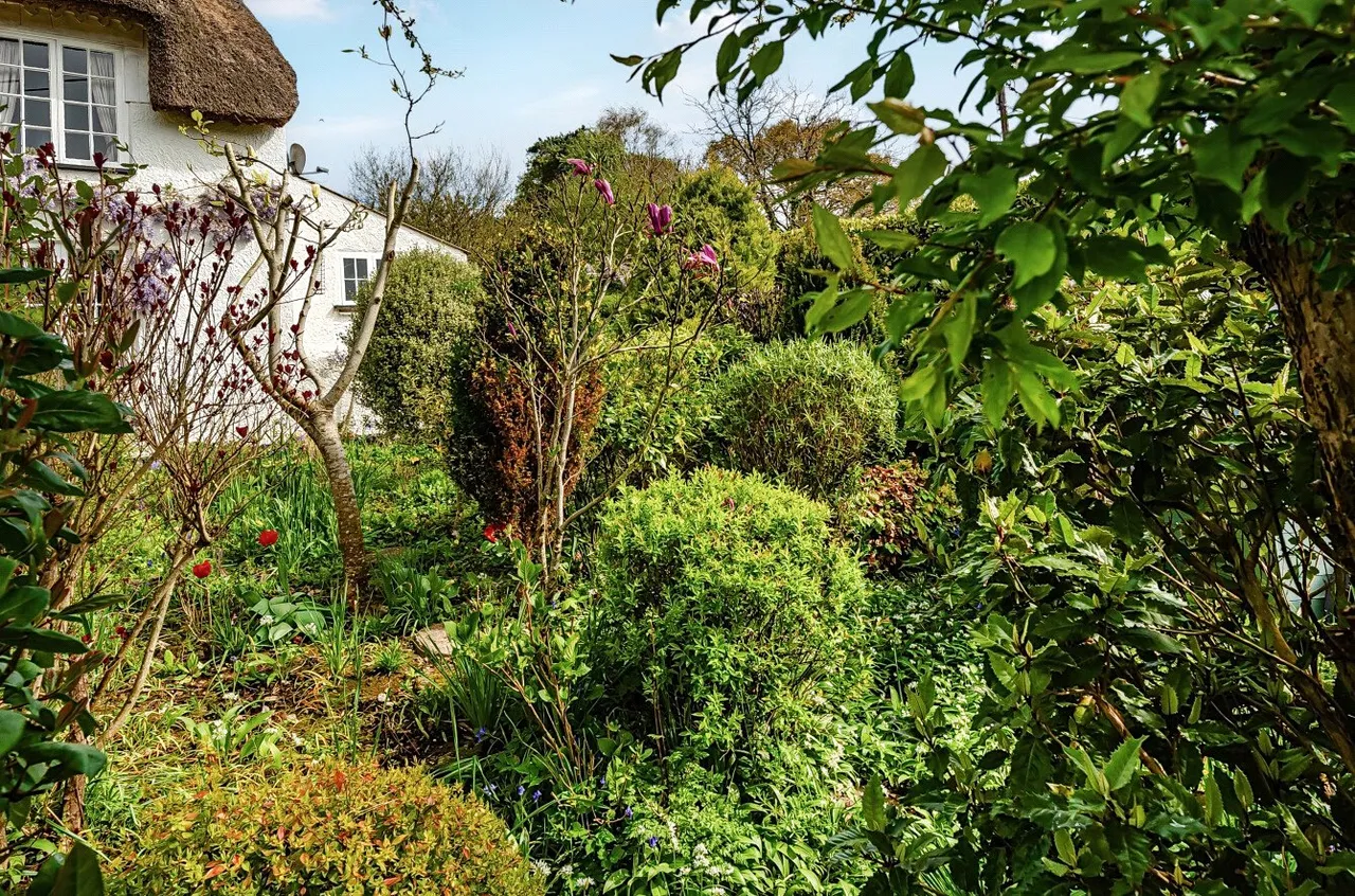 Whitford, Axminster, Devon, EX13 7PH, photo 16