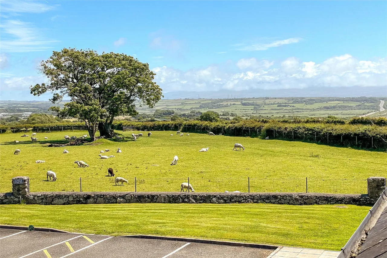 Llangefni, LL77, photo 12