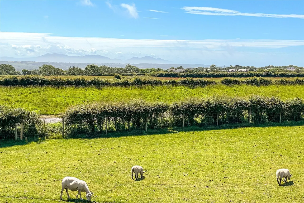 Llangefni, LL77, photo 11