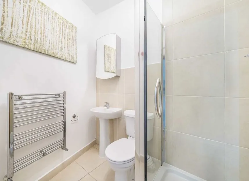 Romeyn Road, Streatham, SW16, photo 8