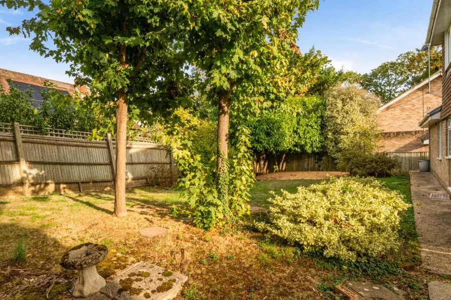 The Binghams, Maidenhead, SL6, photo 20