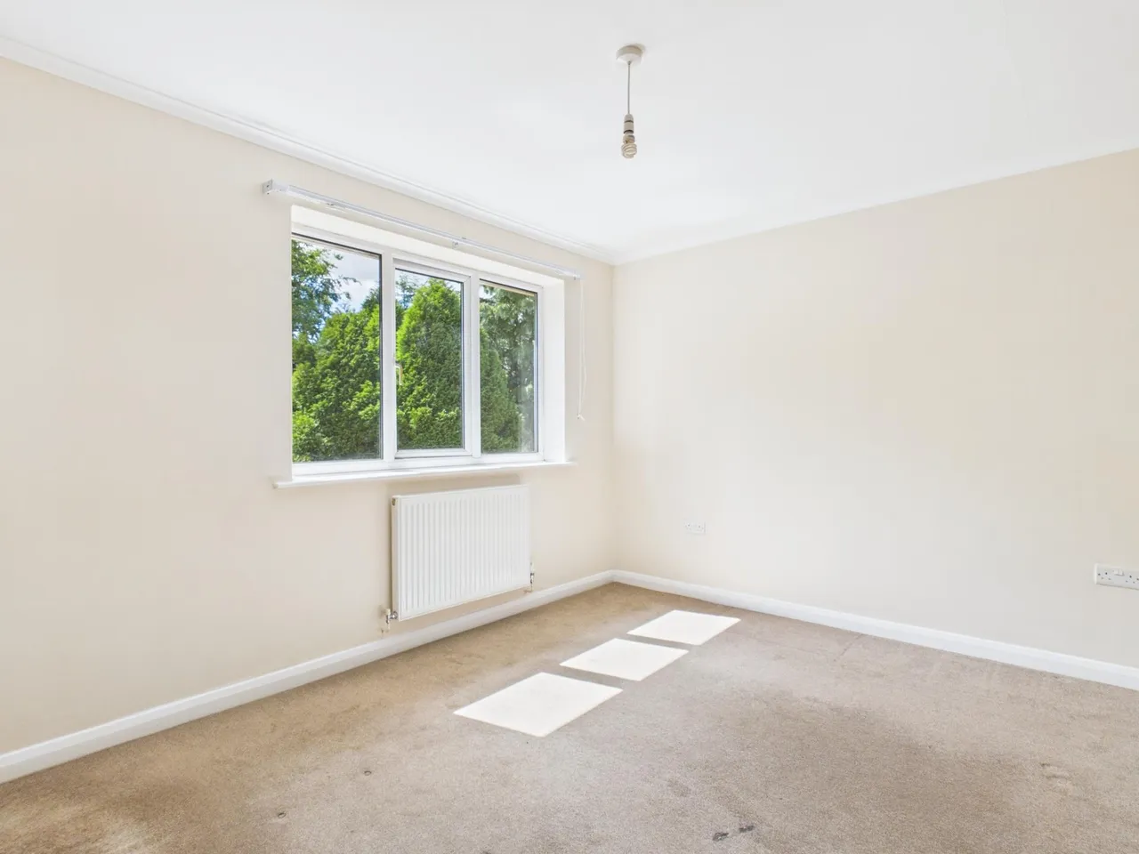 Whitaker Gardens, Derby, DE23, photo 17