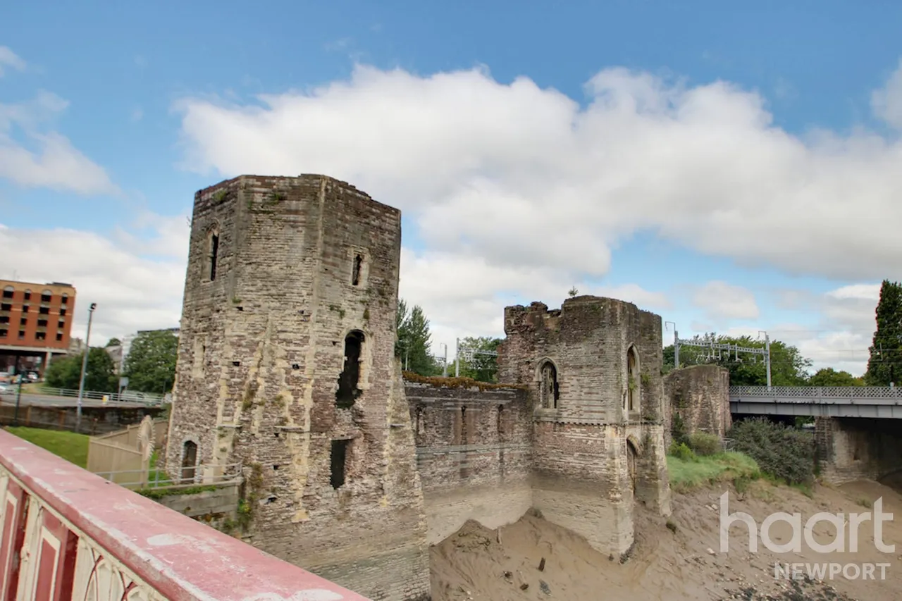 Castle View, Newport, NP20, photo 16