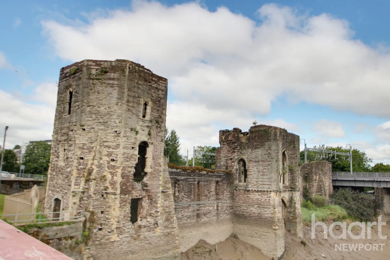 Castle View, Newport, NP20, photo 15