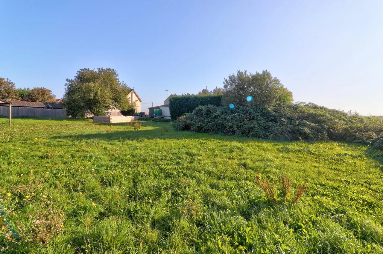 School Road, Terrington St John, PE14, photo 3