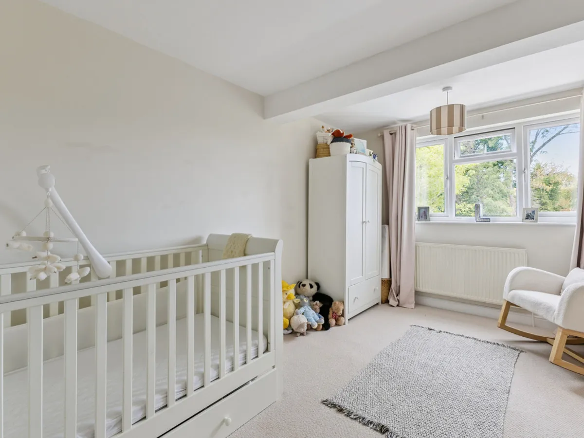 Ash Tree Close, Haslemere, GU27, photo 21
