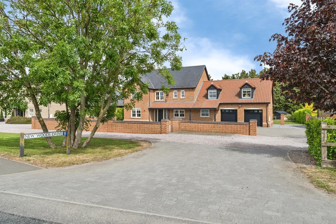 New Woods Drive, March, PE15, photo 30