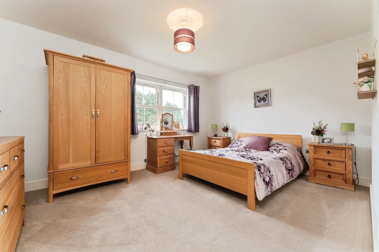 New Woods Drive, March, PE15, photo 16