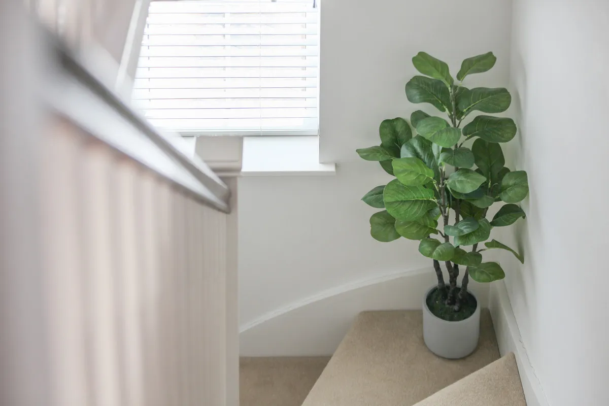 Wedow Road, Thaxted, CM6, photo 13