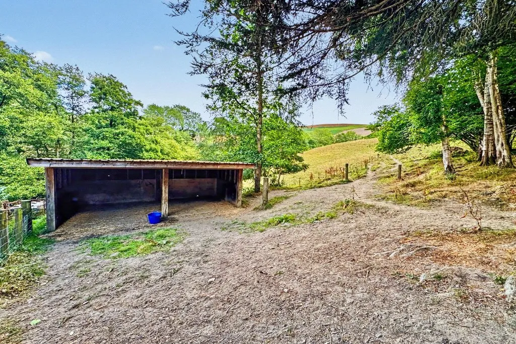 Cregrina, Llandrindod Wells, LD1, photo 38