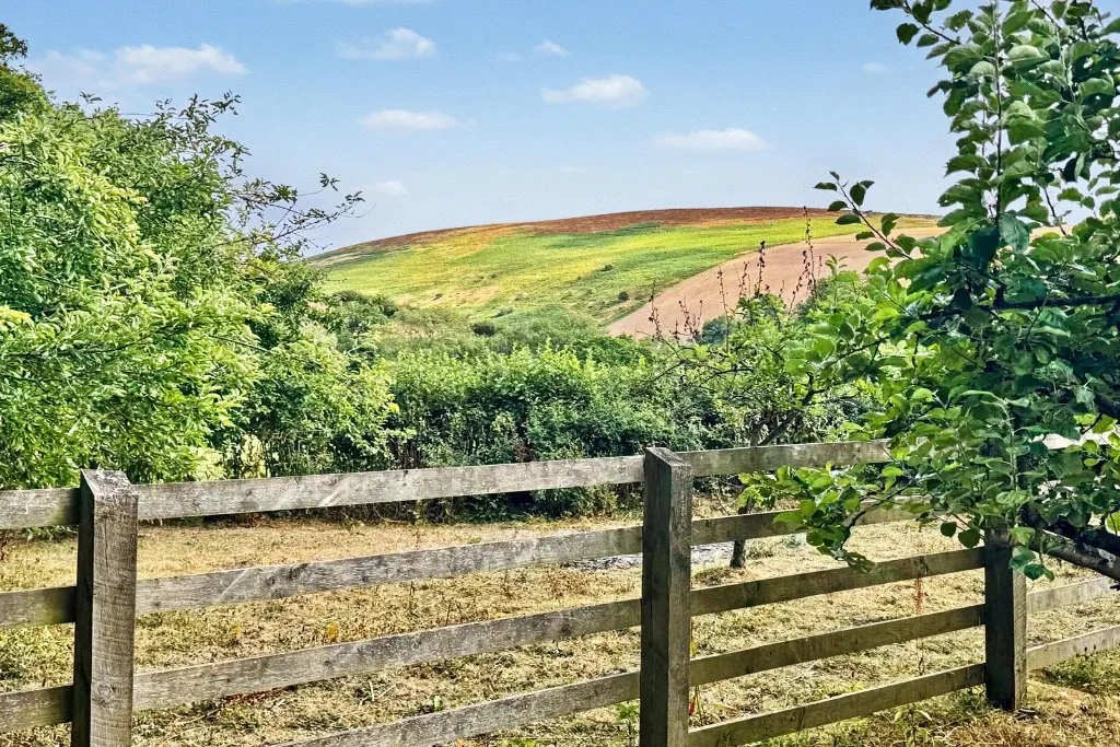 Cregrina, Llandrindod Wells, LD1, photo 37