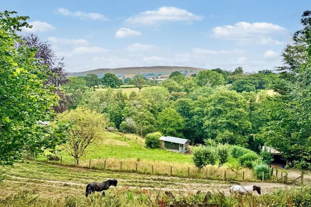 Cregrina, Llandrindod Wells, LD1, photo 39