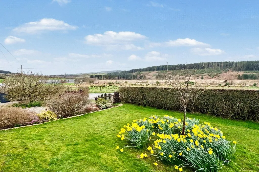 Tirabad, Llangammarch Wells, Powys, LD4 4DS, photo 22