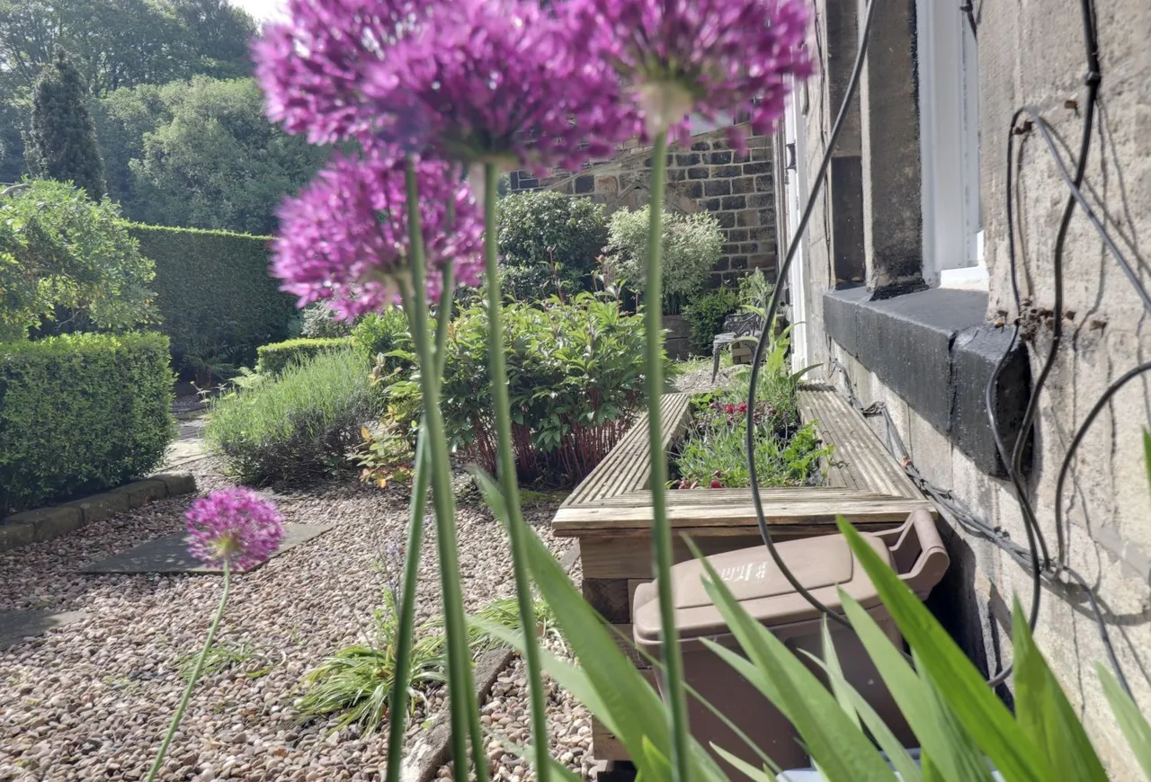 Rochdale Road, Todmorden, OL14, photo 5