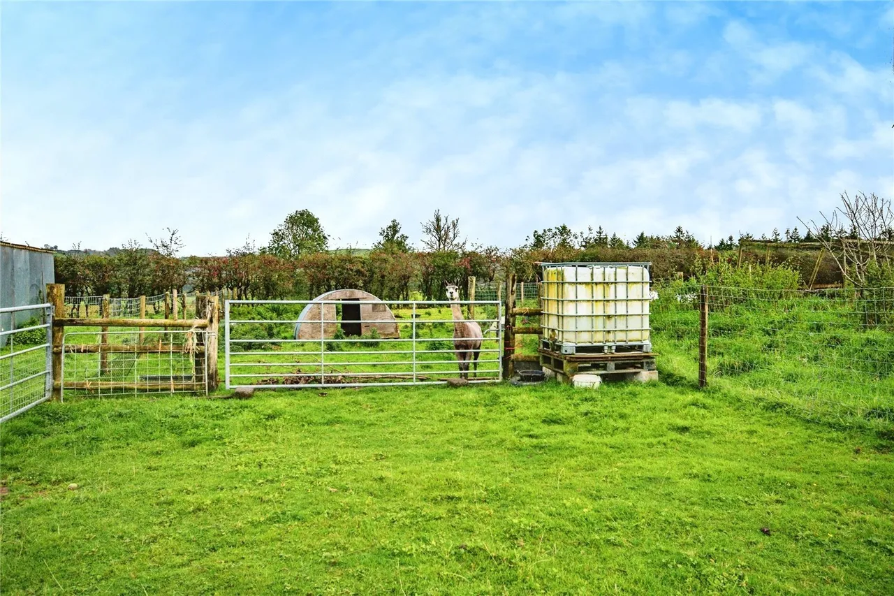 Alltwalis Road, Alltwalis, SA32, photo 28