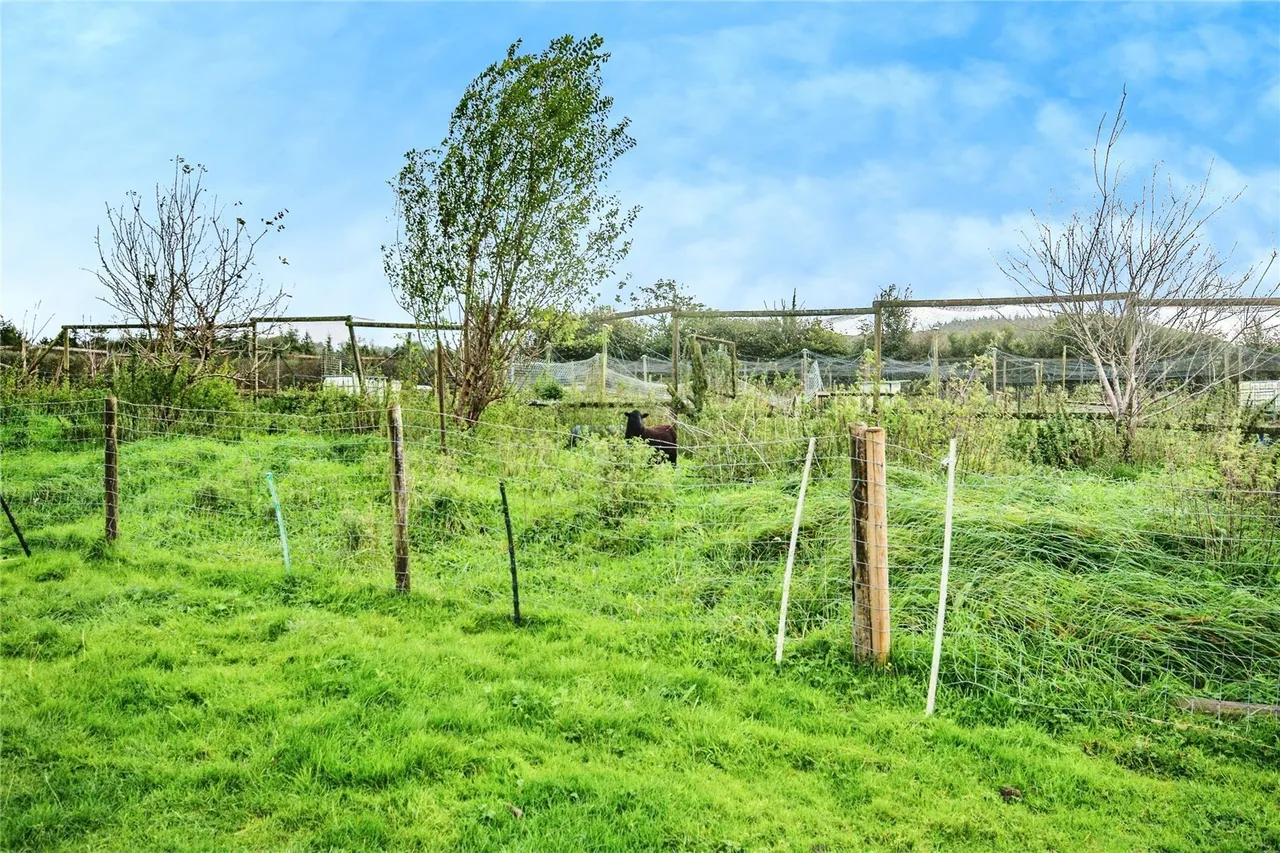 Alltwalis Road, Alltwalis, SA32, photo 27