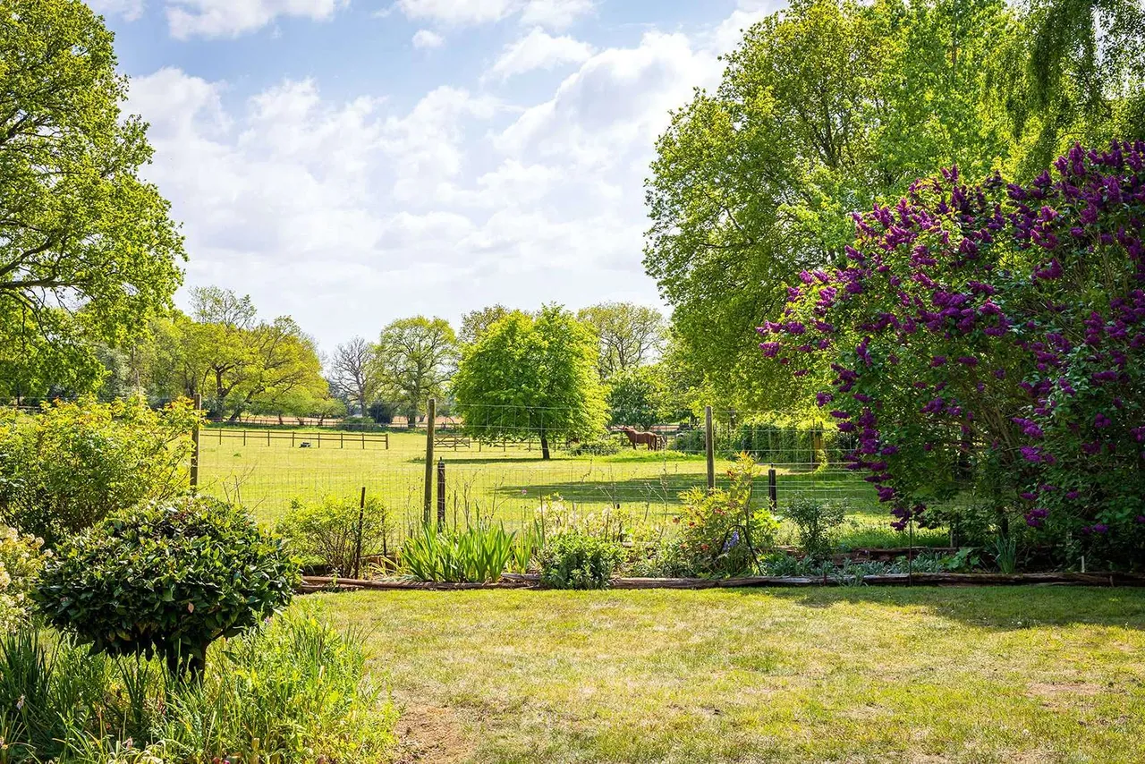 Puttenham Heath Road, Puttenham, Guildford, Surrey, GU3 1AP, photo 11