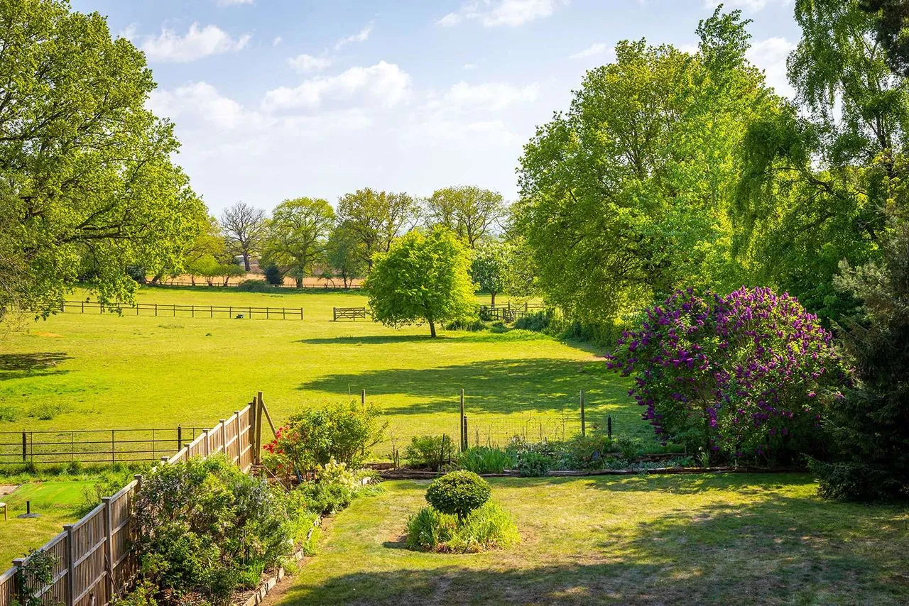 Puttenham Heath Road, Puttenham, Guildford, Surrey, GU3 1AP, photo 12
