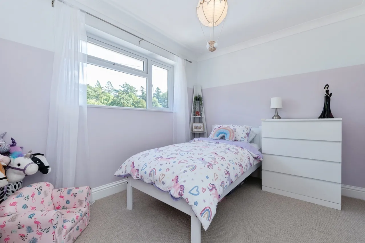 Elmwood Avenue, Fordingbridge, SP6, photo 5