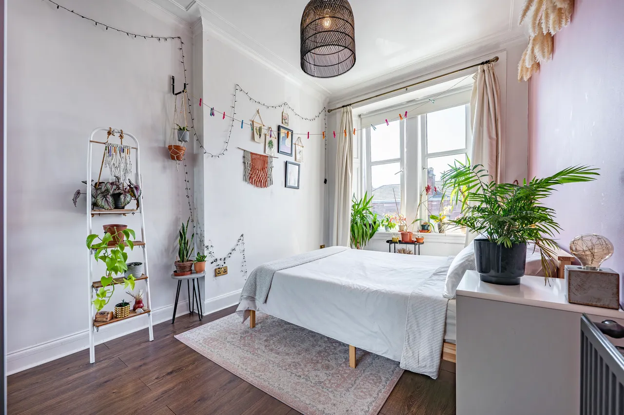 Craigpark Drive, Dennistoun, G31, photo 15