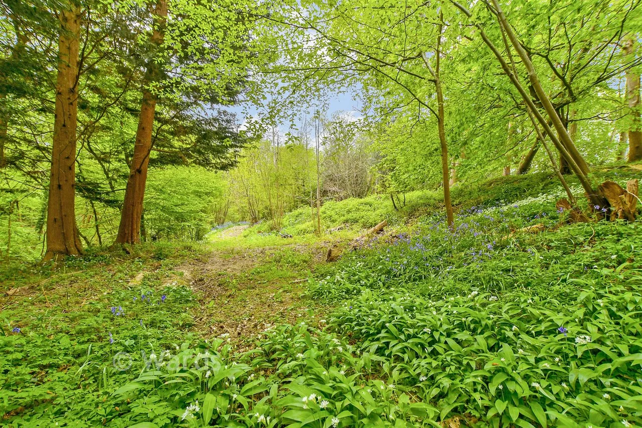 Ghyllside Road, Northiam, TN31, photo 4