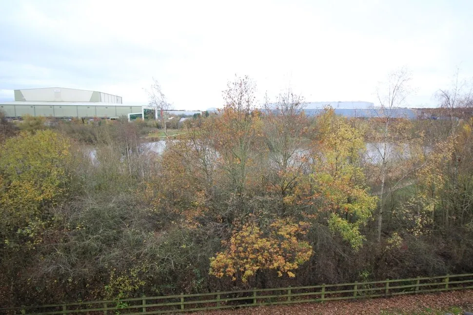 Marigold Walk, Nuneaton, CV10, photo 11