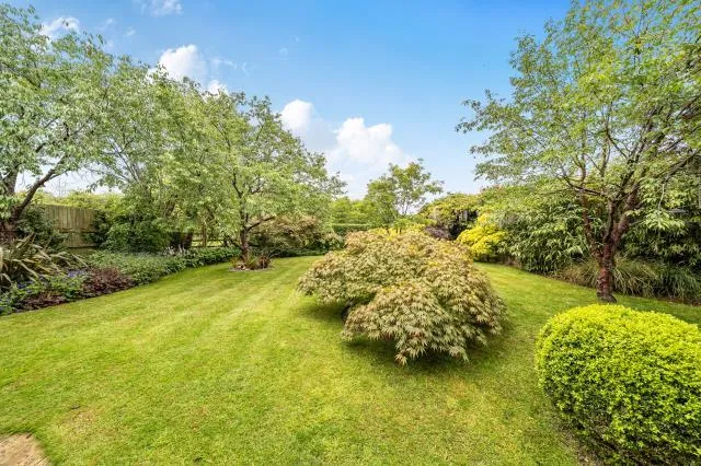 Banbury Road, Daventry, NN11, photo 27