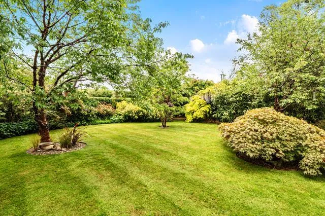 Banbury Road, Daventry, NN11, photo 26