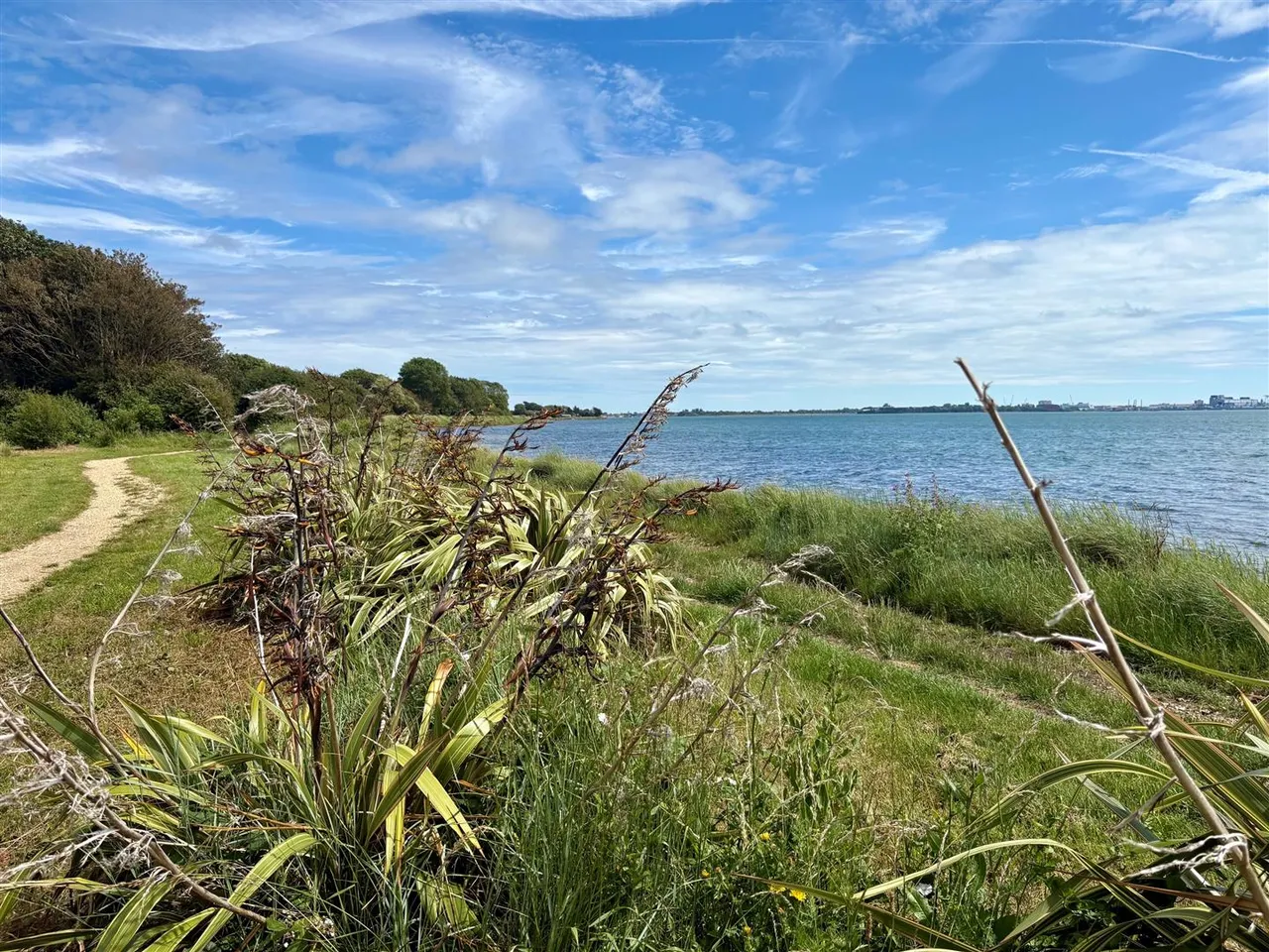 Pewit View, Portchester, photo 5