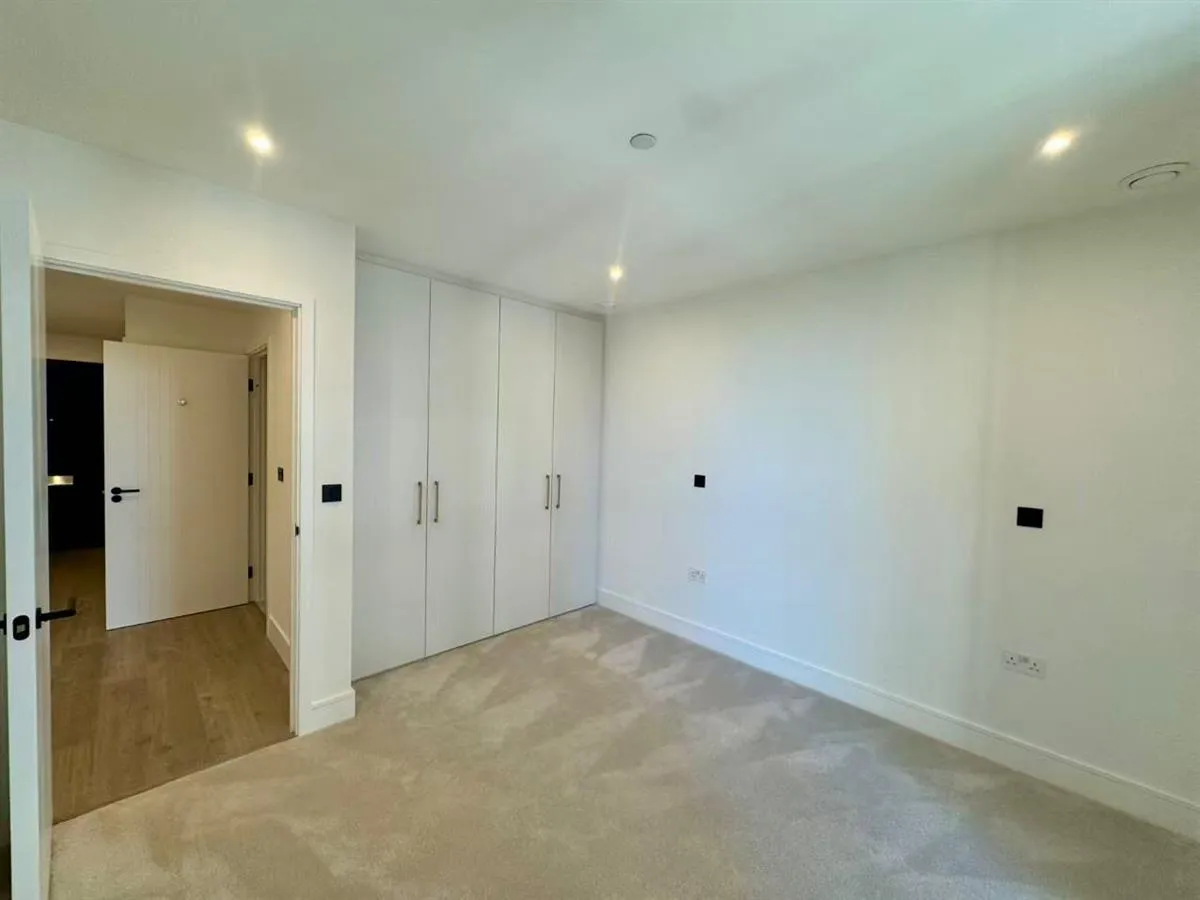 Redwood tower，twelve trees park, photo 12