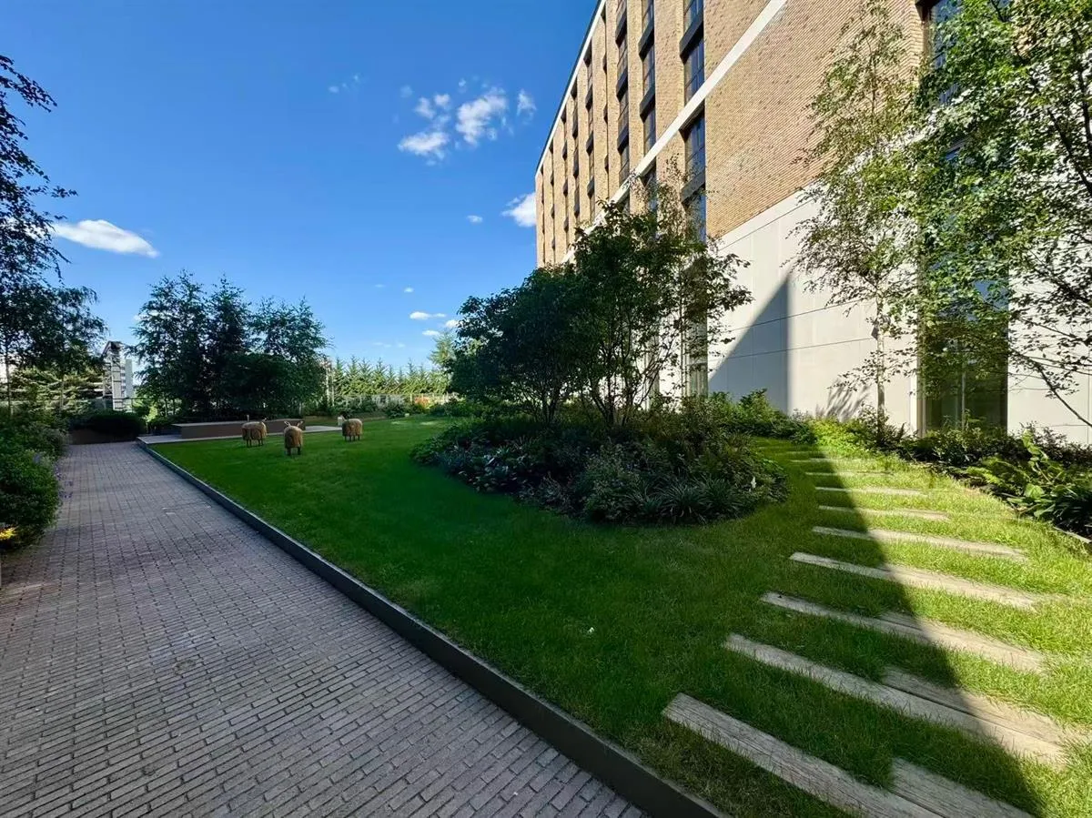 Redwood tower，twelve trees park, photo 8
