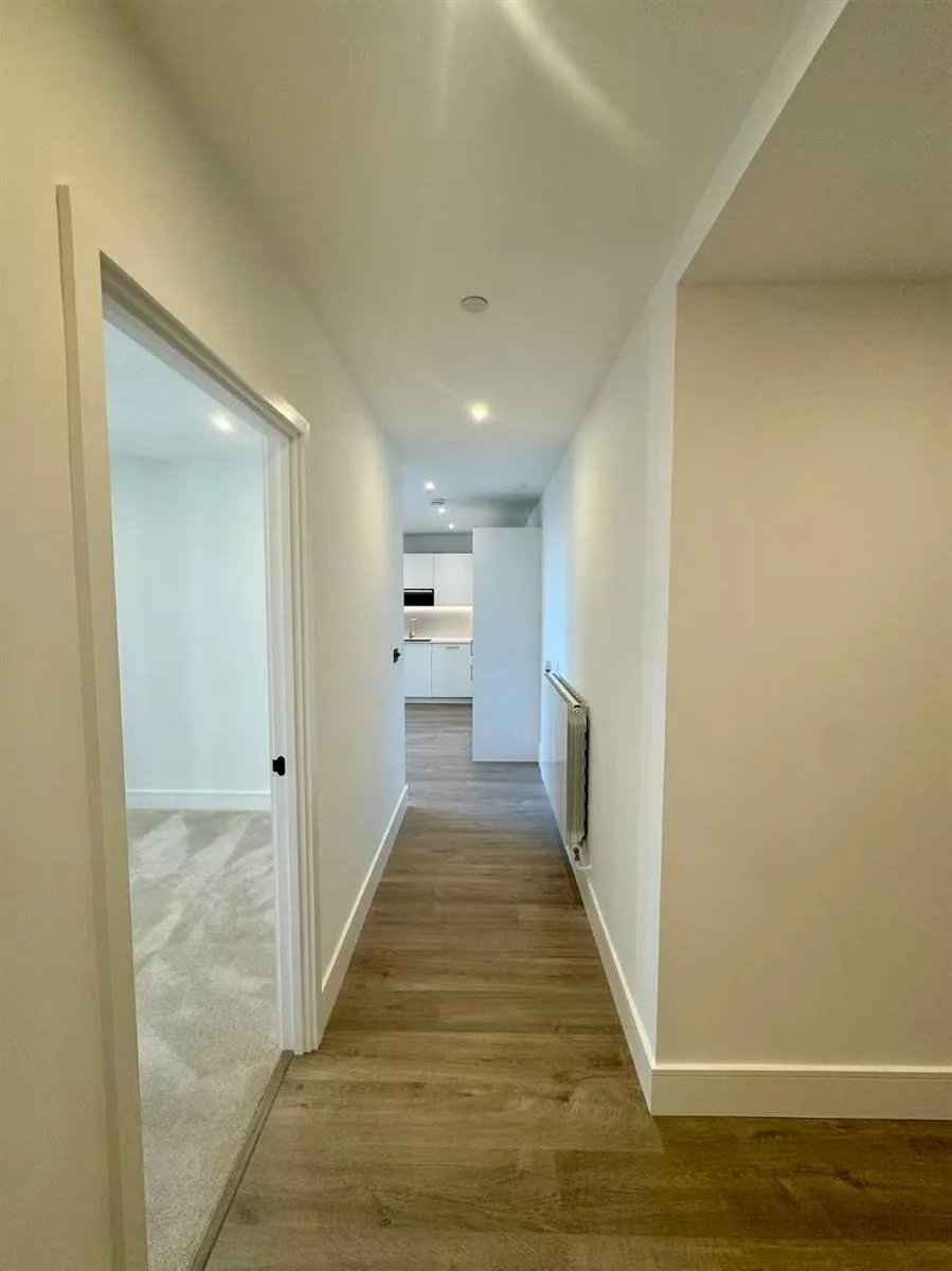 Redwood tower，twelve trees park, photo 5