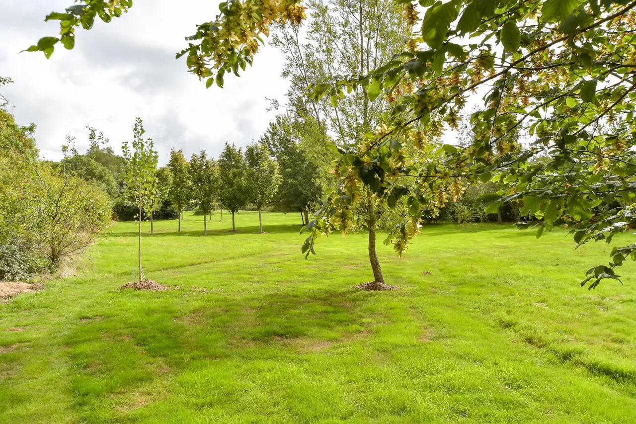 Whitwell, photo 15