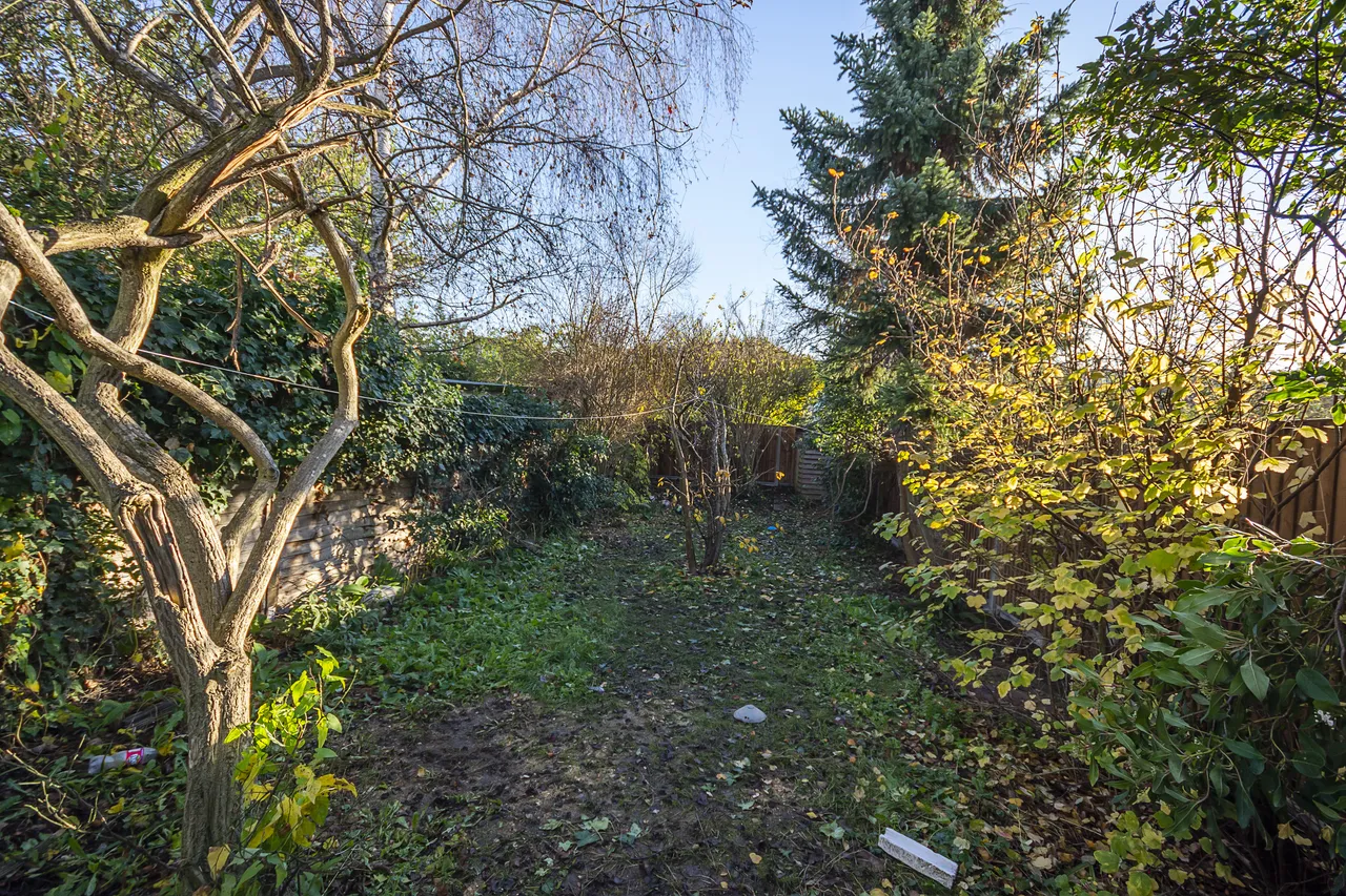 Haliburton Road, Twickenham, TW1, photo 4