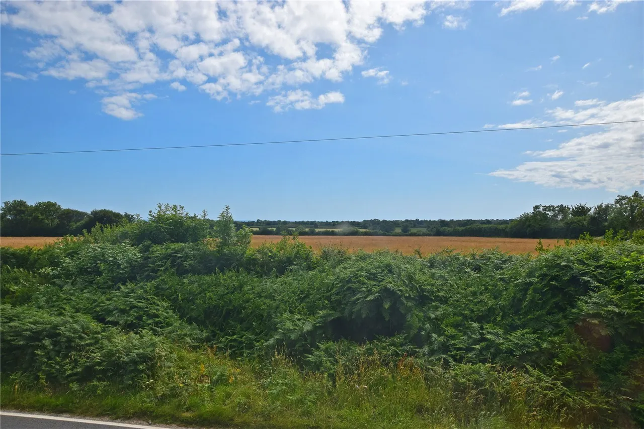 Branscombe, Seaton, Devon, EX12 3BR, photo 19