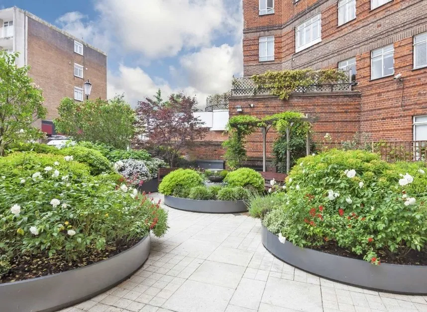 Cheltenham Terrace, Chelsea, SW3, photo 7