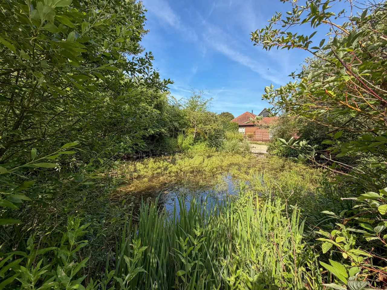 Moores Lane, East Bergholt, photo 42