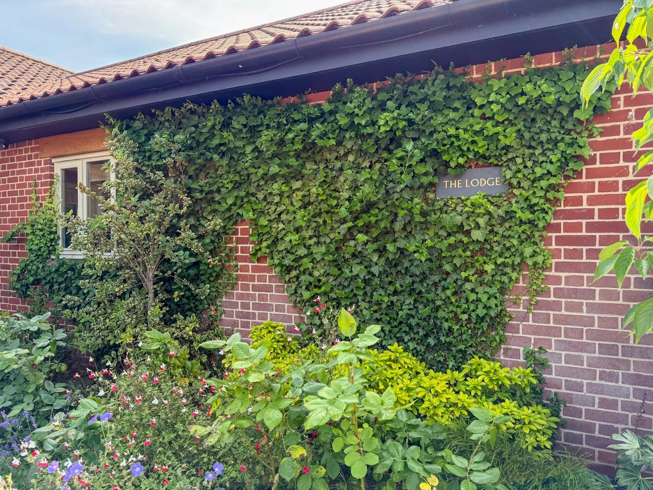 Moores Lane, East Bergholt, photo 44