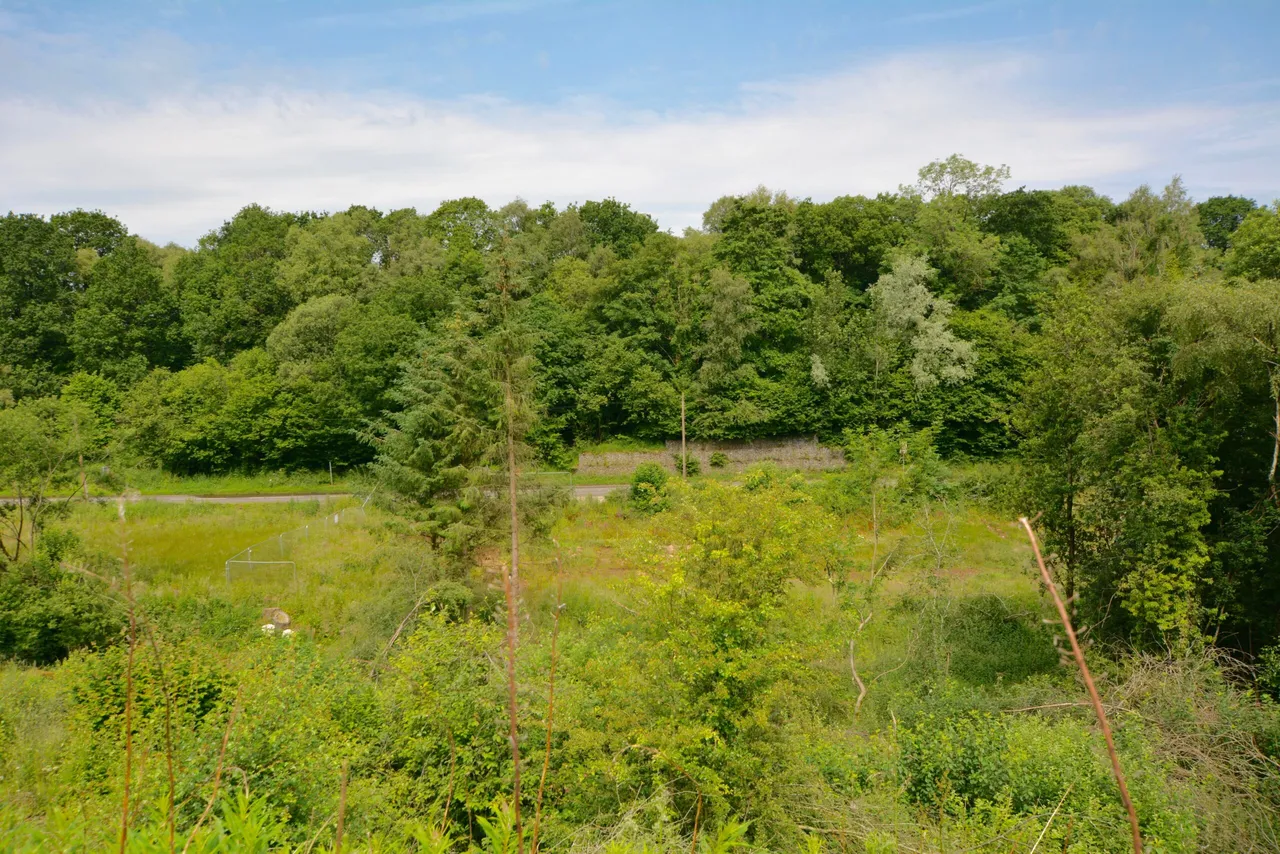 Plot at 64 Newton Street, Catrine, KA5 6RY, photo 3