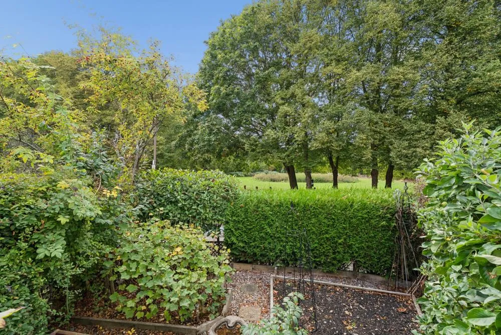 Vicarage Road, Bradwell, photo 21