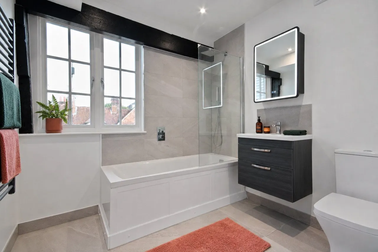 Mill Lane, Godalming, GU7, photo 6