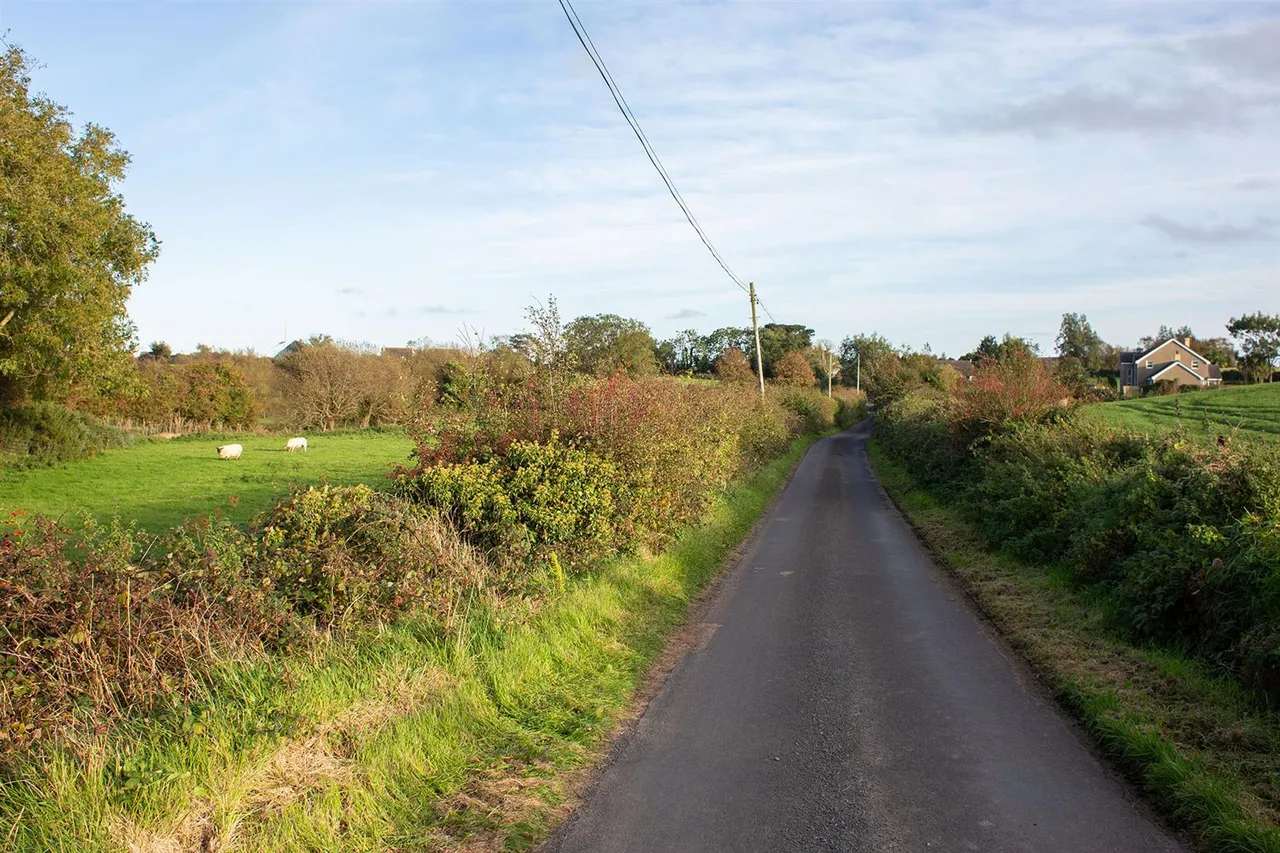 Islandhill Road, millisle, BT22, photo 3