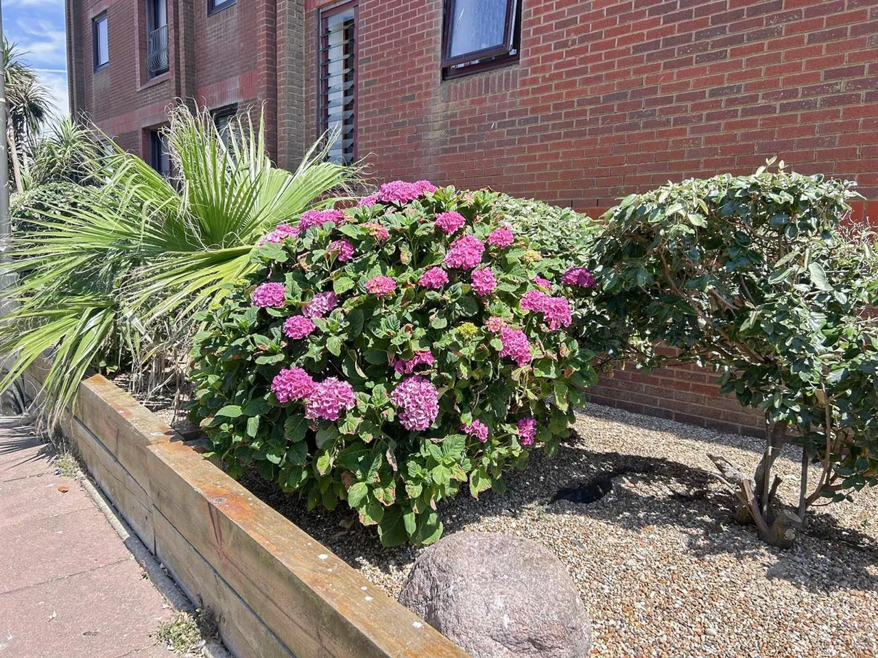 Marina, Bexhill-On-Sea, TN40 1BW, photo 14