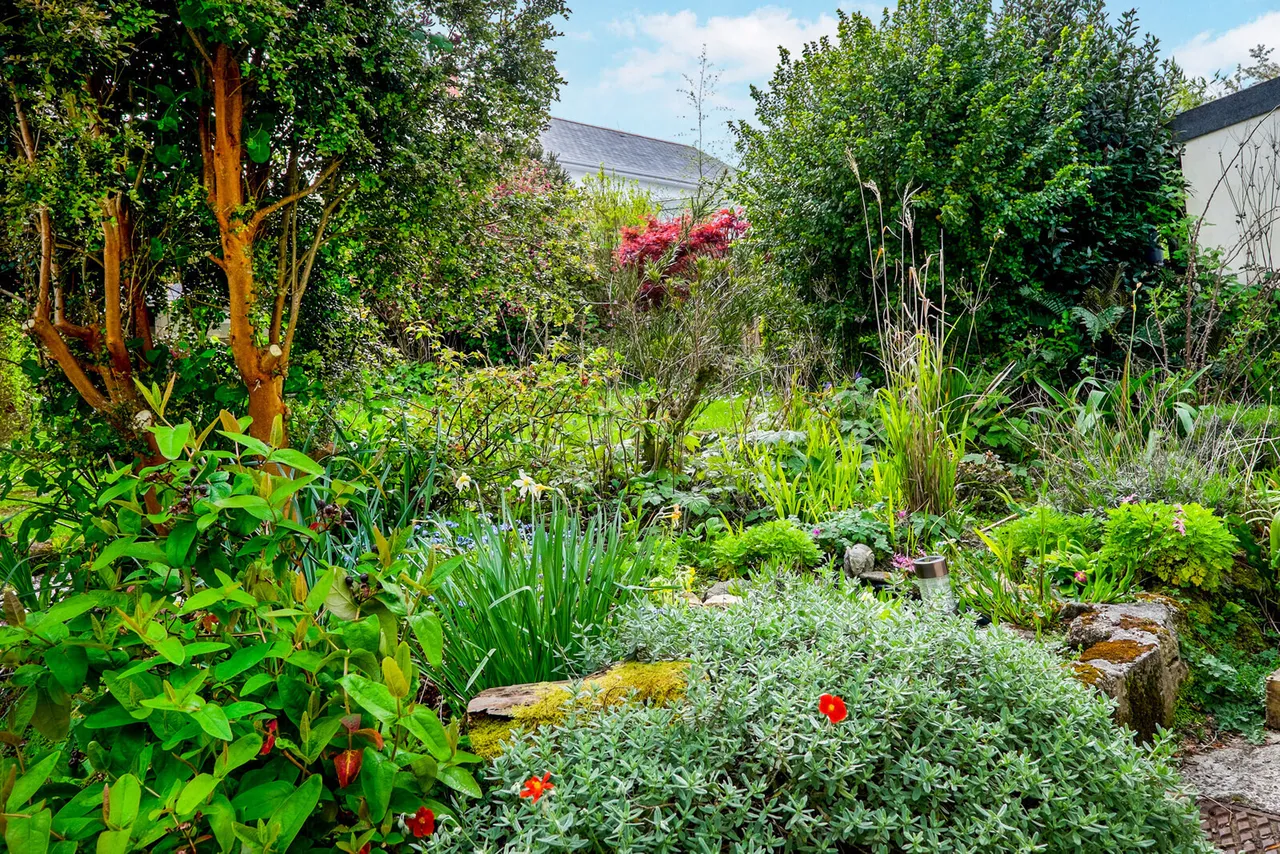 Laity Lane, St. Ives, TR26, photo 13