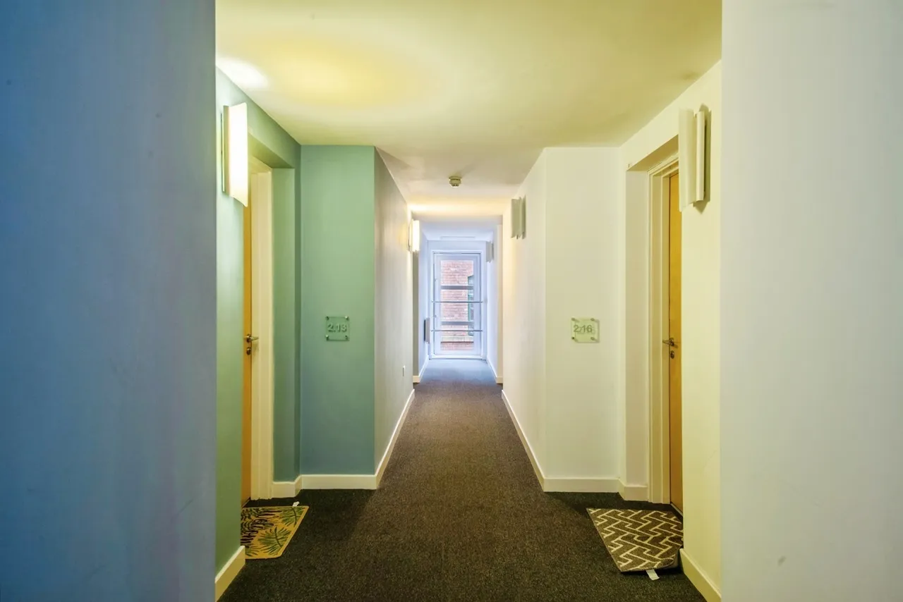 Upper Allen Street, Sheffield, South Yorkshire, S3, photo 5