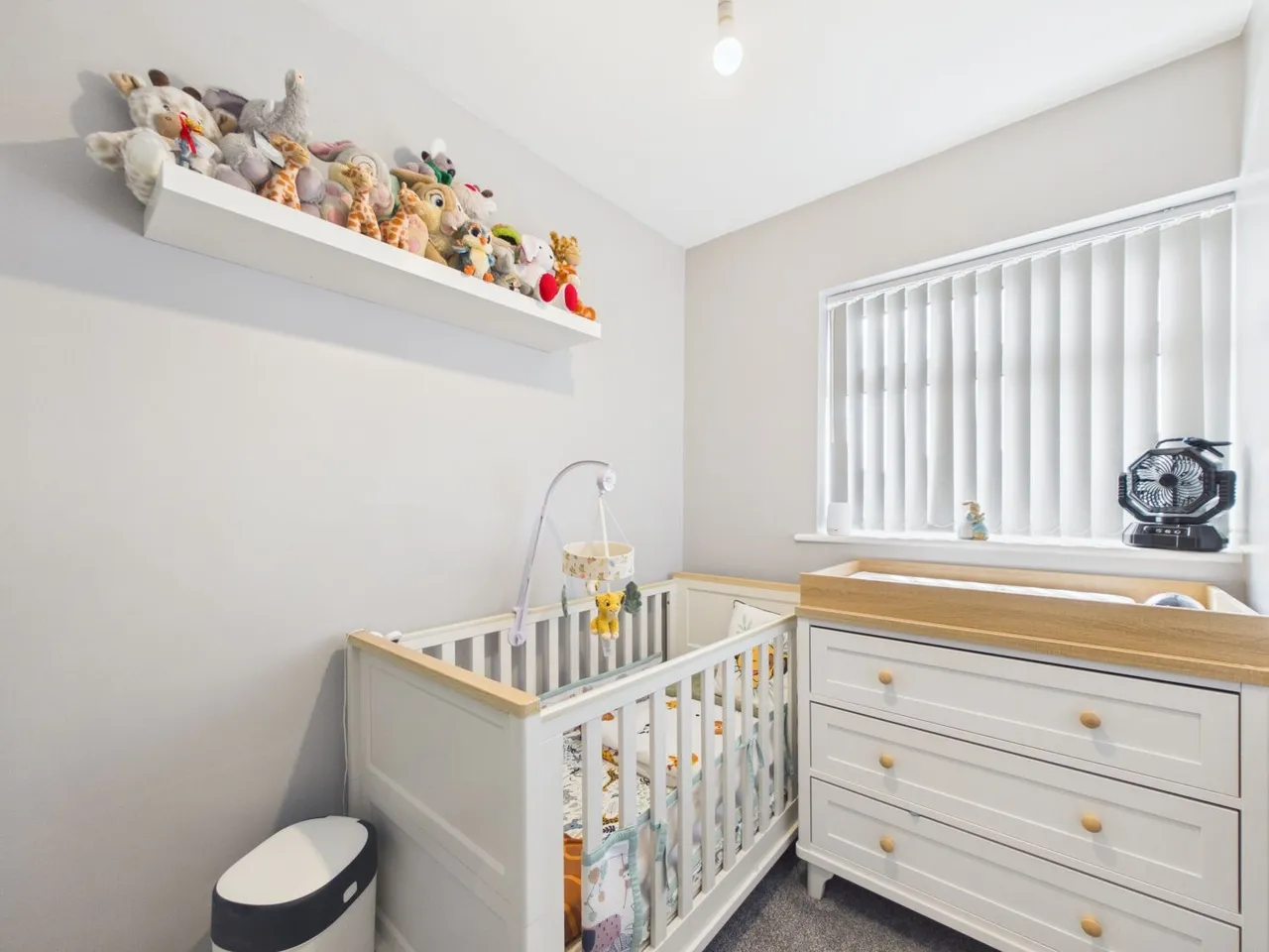 Felstead Road, Nottingham, NG8, photo 15