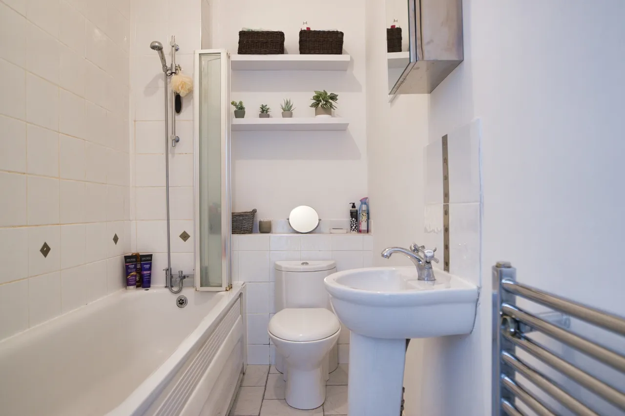 Champion Road, Sydenham, SE26 4HD, photo 12