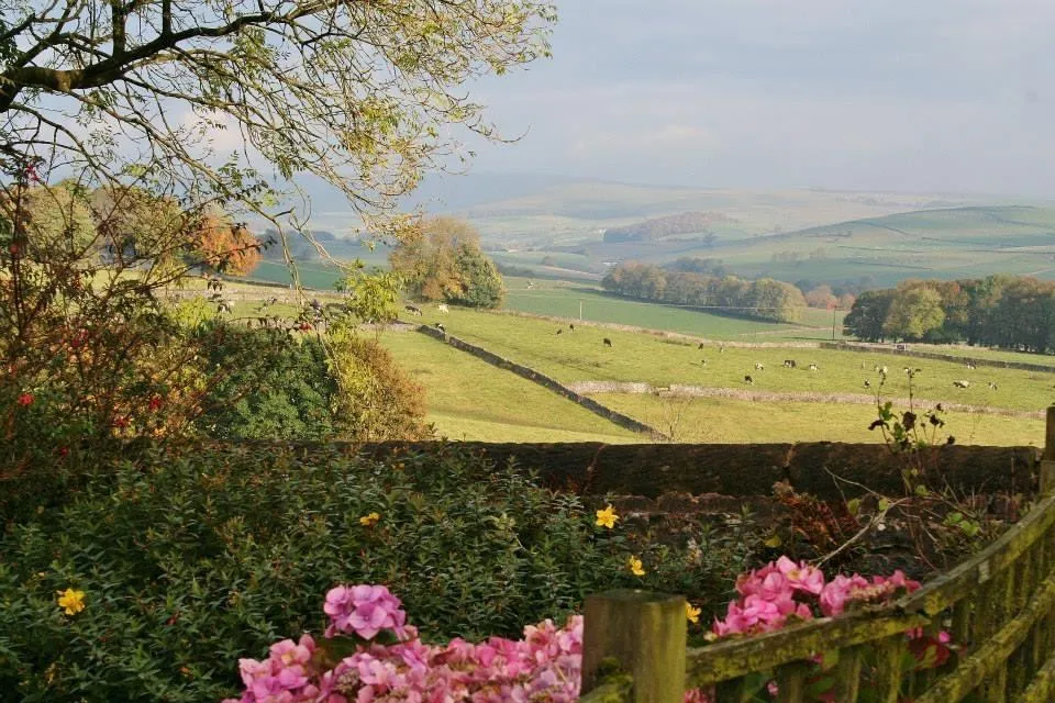Wormhill, Buxton, photo 21